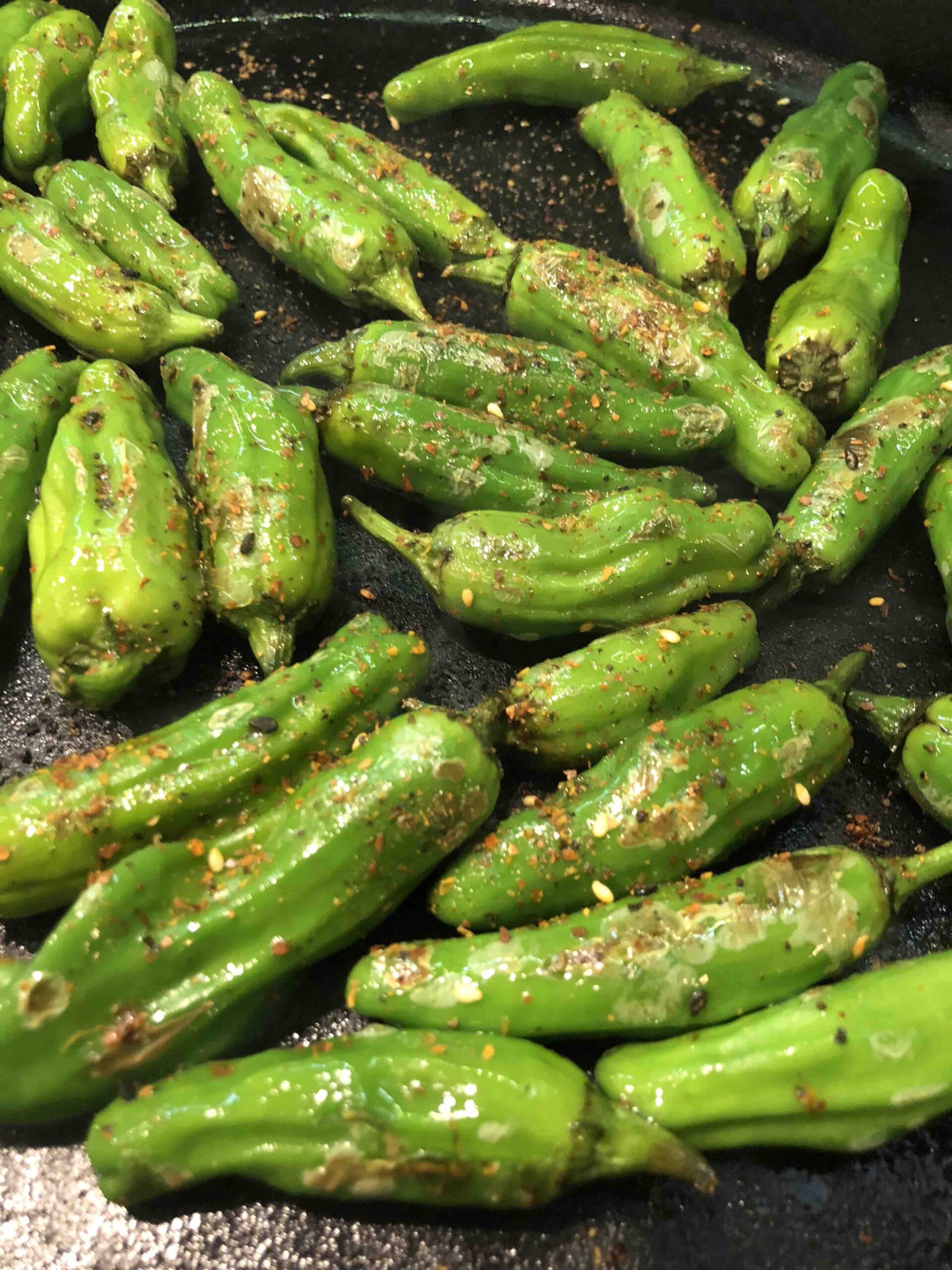blistered shishito peppers feat. togarashi